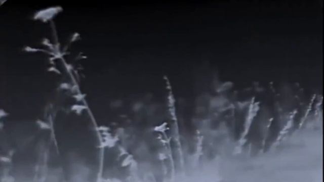 Фронтовые будни снайперской пары российской армии в зоне СВО смотреть онлайн