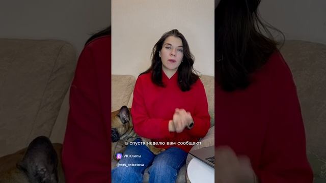 Как вас обманывают агентства недвижимости? #shorts