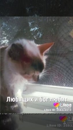2019-08-05-маска в печали