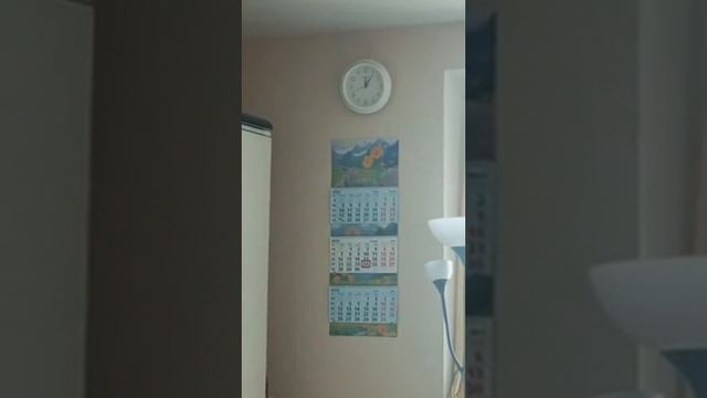 24.04.25/12:00 Долбят