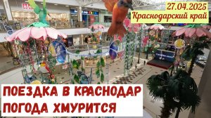 Краснодарский край(27.04.2025). Поездка в Краснодар. Дожди, дожди...