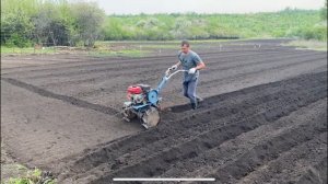 СЕЗОН 2025года🧤ПОСАДКА 🥔КАРТОФЕЛЯ 🚜МОТОБЛОКОМ НЕВА2 мб.