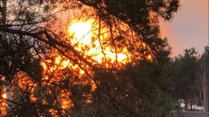 Не смешно! Взрыв на газопроводе во Всеволожске и празднование дня ракетчика в Спб, одновременно!