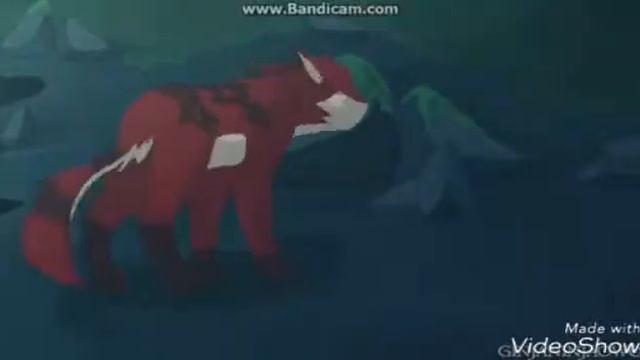 Коты Воители. Первое видео . смотреть онлайн