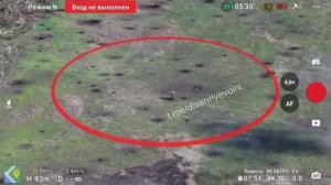 Невероятное везение