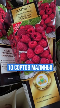 10 сортов малины, которые должен посадить каждый!