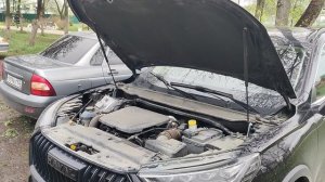 Газовые упоры капота Haval Jolion