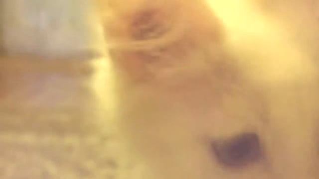 Песня кошки смотреть онлайн