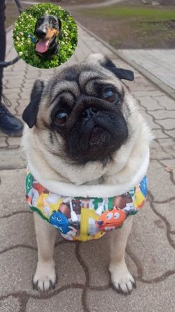 Привет из Вятки в Питер 🤗😄