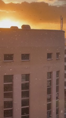 Снегопад в конце апреля! Да лааааадно 🙀
