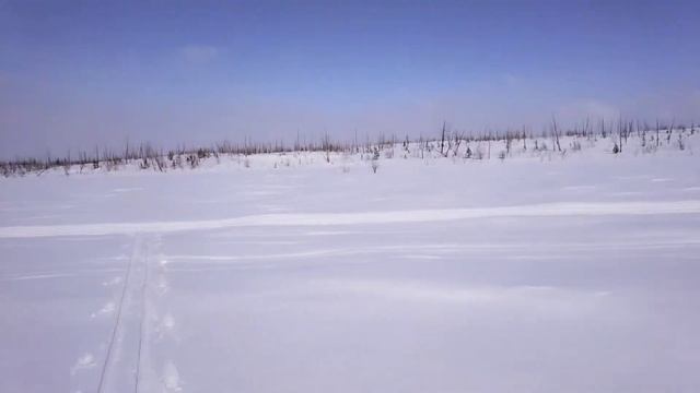 Оганер-Норилка 04.05.2022. смотреть онлайн