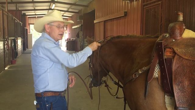 Running Martingale Adjustment and Use Keep it Safe!
