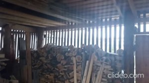 Малина прорастает, Дровяник наполняется, Грядка под Картошку готова