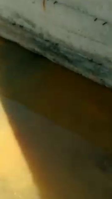 🇹🇷ЧТО СЛИВАЮТ В МОРЕ НА КЛЕОПАТРЕ? смотреть онлайн