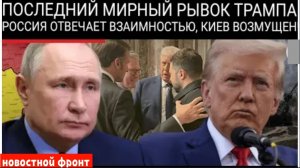 Мирный договор между Россией и Украиной: Трамп способствует прогрессу, Лавров и Кремль дают надежду.