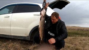 ЩУКИ БЕРУТ ОДНА ЗА ОДНОЙ В ЭТОЙ КАНАВЕ ОТКРЫЛ СЕЗОН НА СПИНИНГ