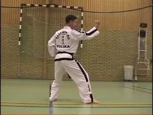 Джун Гун видео туль в тхэквондо красный пояс, 2 гып, хьенг 32 движения, комплекс Joon Gun Tul спорт