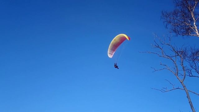 НЛО на фоне? смотреть онлайн