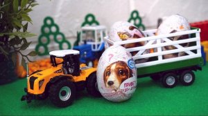 Трактор привез шоколадные яйца с сюрпризом. Видео для детей