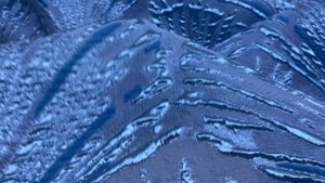 Филькупе  голубого цвета с принтом ракушки с люрексом   26042