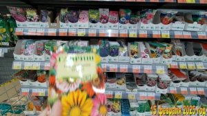 7 соток. В магазин за семенами новомодного цветочка. Вкусная, сочная курочка в духовке. 15.02.