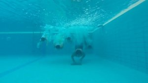 Шангареев  Исмагил с сыновьями в бассейне Шарджа, ОАЭ