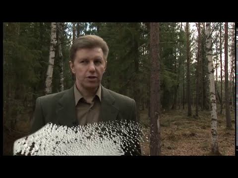 Возрождение Марии. Бывшая наркоманка