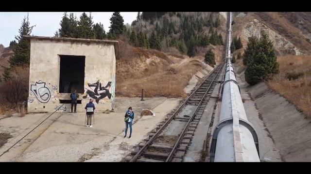 Домашняя кошка на прогулке в горах Тянь - Шаня!  Domestic cat for a walk in the Tien Shan mountains