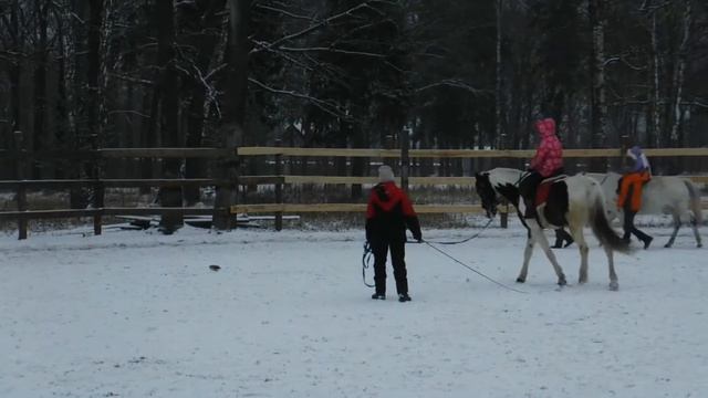Влог-ДЕТИ ЗАНИМАЮТСЯ НА ЛОШАДЯХ смотреть онлайн