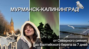 Мурманск или Калининград | Северное сияние | Увидеть город котиков