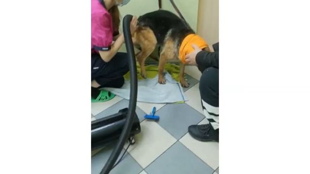 Коха в салоне красоты смотреть онлайн