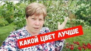 #11🌷26 апреляПерекрасилась/Похолодало/Дождь/Пирожки с зелёным луком