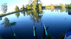 Рыбалка после икромёта и взвешивание карпа