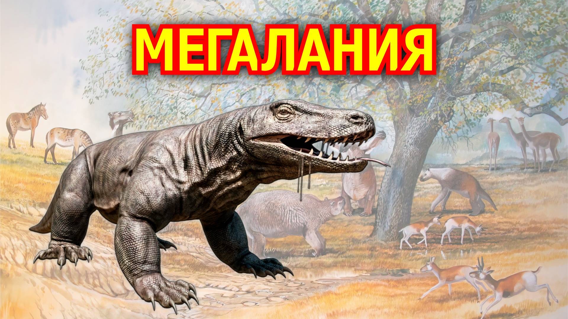 Мегалания. Гигантский варан плейстоцена. Вымершее животное. Видео про животных