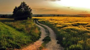 Вперёд и с песней