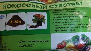 Что за почвогрунт получился из кокосового брикета