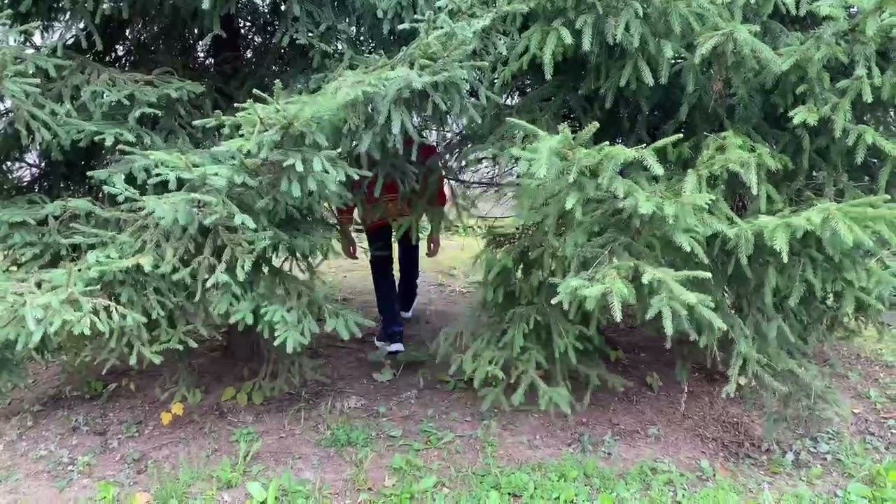 7_В Русский язык.Потерянные запятые