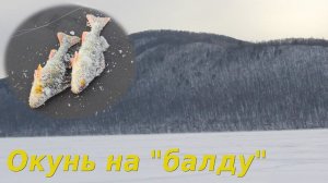 Рыбалка в Самаре. Залив Акулий, остров Голодный