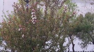 Прогулка по бульвару. Поход в театр.