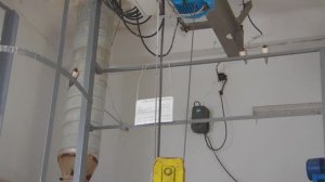 Выводок птенцов..