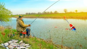 ЗАКИНУЛ ПОПЛАВОК А ТУТ ЖОР КРАСНАПЕРКИ И ГУСТЕРЫ! РЫБАЛКА НА ПОПЛАВОК!
