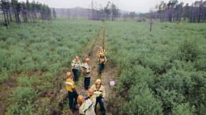 Трейлер "Фёдор-огнеборец"