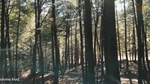 Час красивых инструментальных гимнов 🎵  Мирная и расслабляющая музыка 🌈 [Музыка без рекламы]