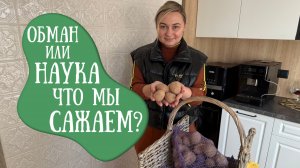 “Вся правда о семенном картофеле! Что такое суперэлита и зачем за неё платят?”