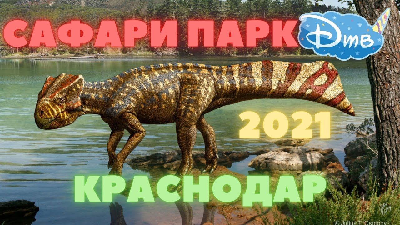 Дино парк и Сафари парк в Краснодаре 2021 смотреть онлайн