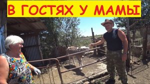 ПОЕЗДКА К МАМЕ / Забрали у неё тёлочку