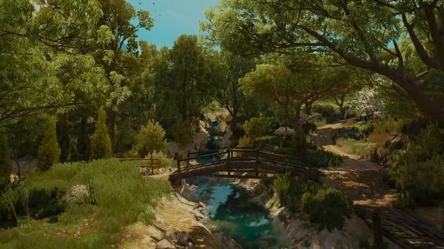 Ведьмак 3 🌿  Туссент 🌹  Эмоциональный и расслабляющий саундтрек 🎶 [Музыка без рекламы]