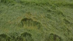 В разгар свадьбы я узнала кто такие родители моего будущего мужа и все гости были в шоке что они та