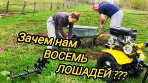 ЗАЧЕМ НАМ ВОСЕМЬ ЛОШАДЕЙ | Земля дышит | Дом в деревне | Деревенские будни