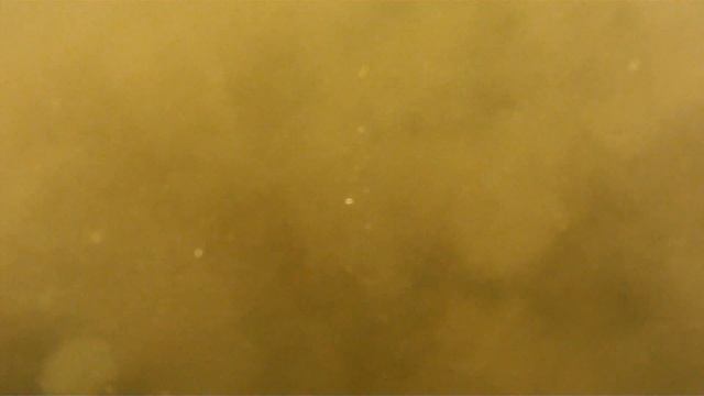 подводный поиск смотреть онлайн